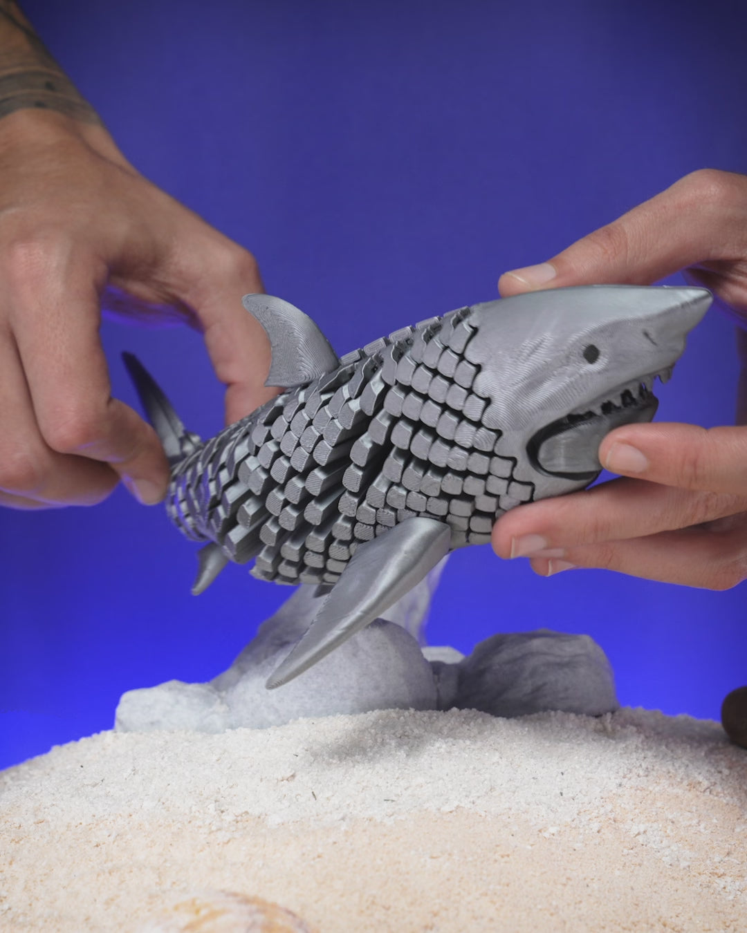 Great White Shark – Articulated Sculpture with Display Base